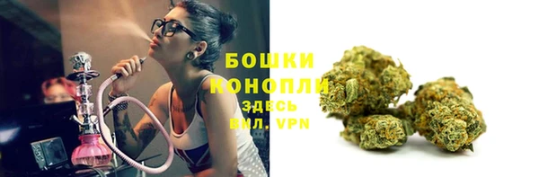 гидропоника Аркадак