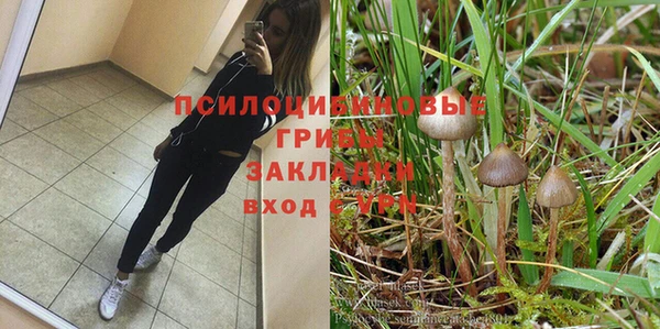 кокс Армянск