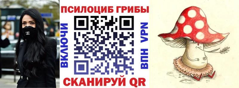 Галлюциногенные грибы прущие грибы как найти закладки Бутурлиновка